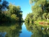 Delta Dunarii Canale.jpg